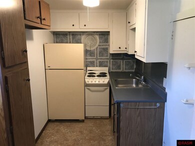513 513 Se 5th St, Willmar, MN 56021 - photo 7