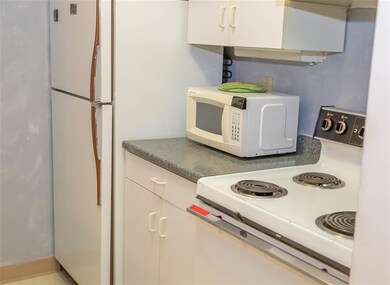 23 Black Bear Way unit 203, Waterville Valley, NH 03215 - photo 5