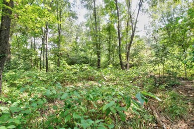 TBD Cr 751, Douglass, TX 75961 - photo 2