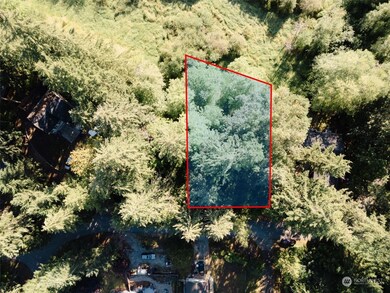 17708 Vine Ln SE, Yelm, WA 98597 - photo 7