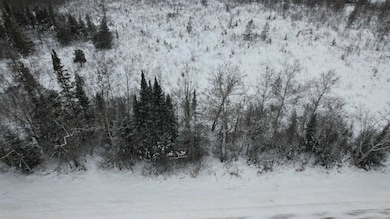 TBD County Hwy N, Solon Springs, WI 54873 - photo 5