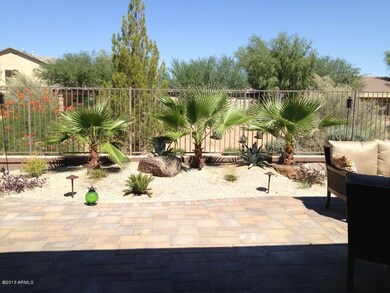backyard 3
