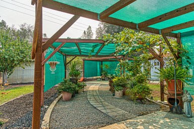 4a-Grape arbor view 2