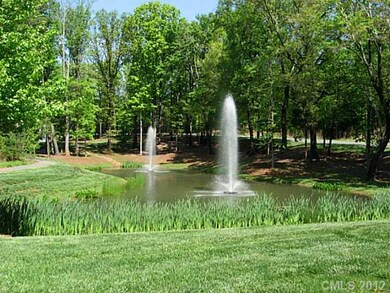 Pond/Lake