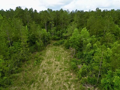 5-web-or-mls-DJI_0079