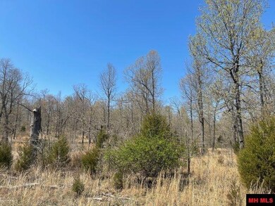 173 Ross Ln, Elizabeth, AR 72531 - photo 2