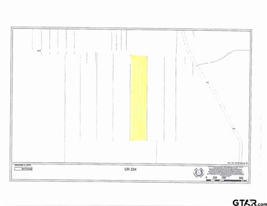 19554 County Road 234, Tyler, TX 75707 - photo 3