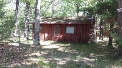 8216 W Columbine Ave, Baldwin, MI 49304 - photo 5