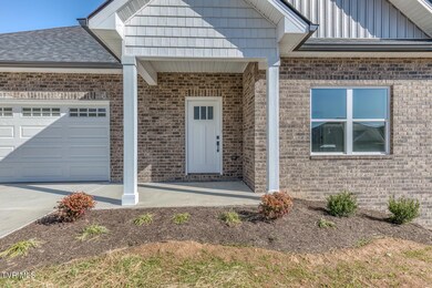 111 Quiet Stroll Ln, Gray, TN 37615 - photo 4