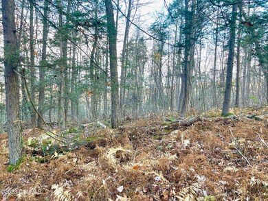 0 Shingle Run Rd, Pine Township, PA 17846 - photo 5