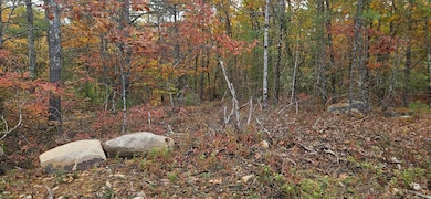 0 Lindsay Ln, South Berwick, ME 03908 - photo 6