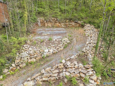 2208 Colice Rd SE, Huntsville, AL 35801 - photo 2