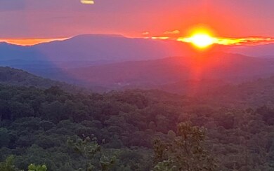 367 Dunedin Rd, Morganton, GA 30560 - photo 3