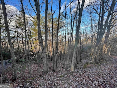 0 Daybreak Rd unit 10656893, Cleveland, GA 30528 - photo 2