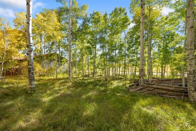 0045 Cr 1232, Silverthorne, CO 80498 - photo 7