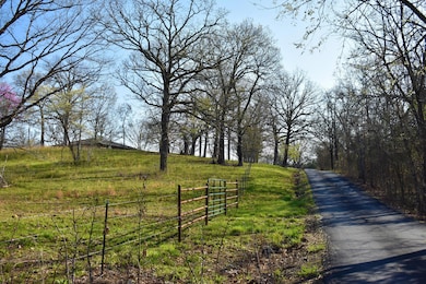 23423 U S 160, Kissee Mills, MO 65680 - photo 4