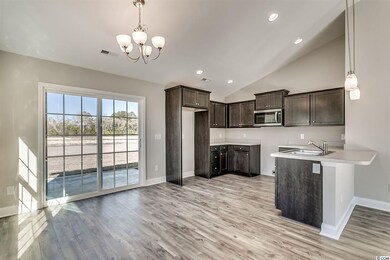 144 Pumpkin Ash Loop, Conway, SC 29527 - photo 3