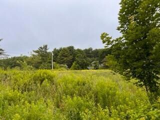 IMG_5670 (2)