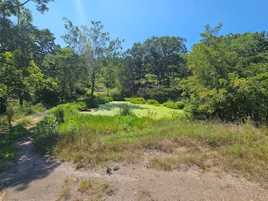 3176 Mountain View Rd, Junction, WV 26852 - photo 3