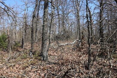 0 Oniell Dr, Bella Vista, AR 72715 - photo 2