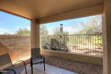 Covered Patio-View