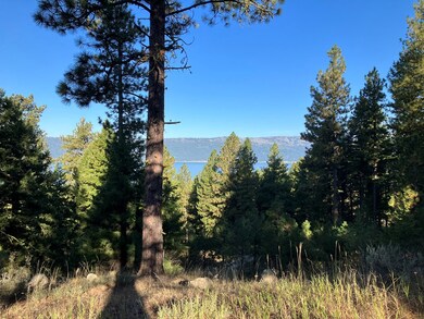 View From Upper Lot