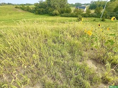 22653 Quarry Cir, Melia-Forest City Precinct, NE 68028 - photo 3