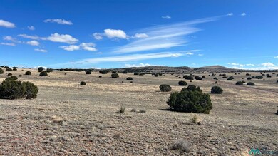 TBD Deer Cir, Quemado, NM 87829 - photo 6