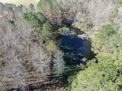 Jim Meeks Rd, Nicholls, GA 31554 - photo 6