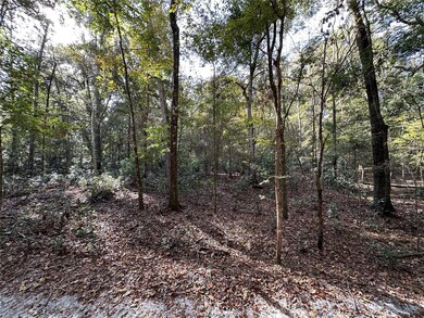 0 NE 125th Ln, Branford, FL 32008 - photo 5