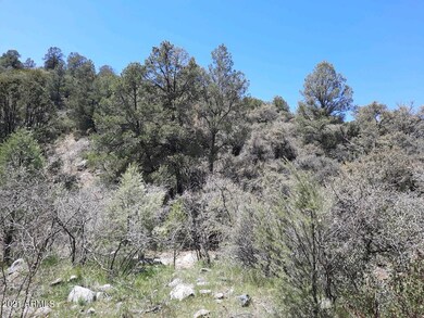 D2 Trees