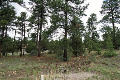 Tons of Mature Trees