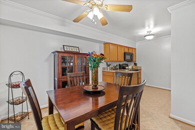 7332 Tavenner Ln unit 1A, Alexandria, VA 22306 - photo 7