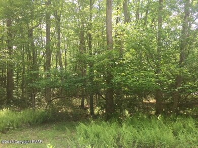 0 Lot A190 A191 A192 Primrose Ln, Jim Thorpe, PA 18229 - photo 3