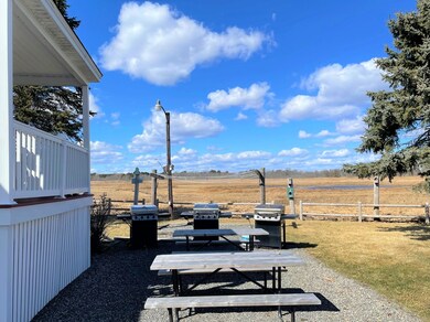 BBQ area and Marsh view