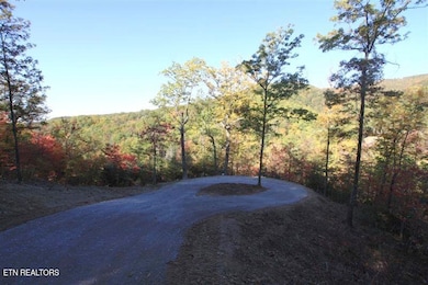 0 Fern Point Dr, Sevierville, TN 37862 - photo 2