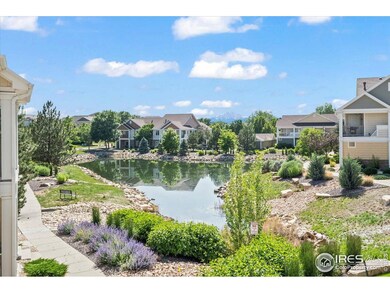 4865 Hahns Peak Dr unit 203, Loveland, CO 80538 - photo 3