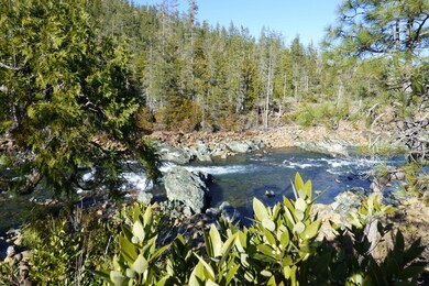 P1030571