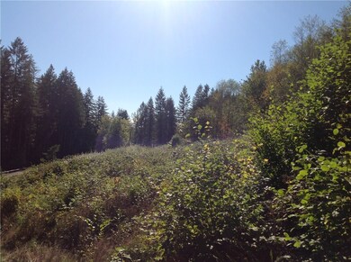 0 Logan Hill Rd unit 851426, Chehalis, WA 98532 - photo 7