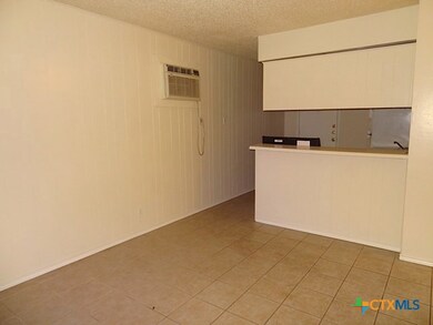 1231 N Lbj Dr unit 3, San Marcos, TX 78666 - photo 2