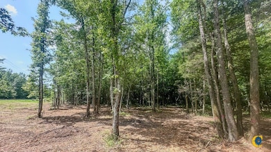 0 Birdsong Rd, Camden, TN 38320 - photo 5