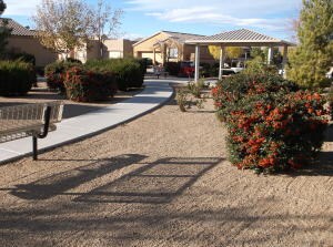 Common Area (Park by home)