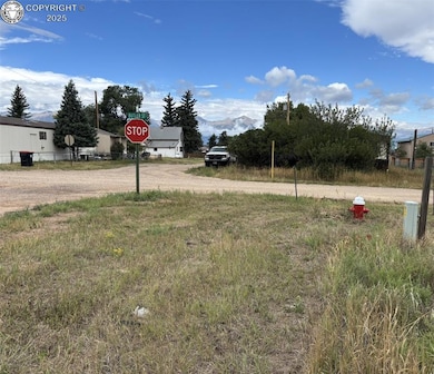 207 Butler St, Silver Cliff, CO 81252 - photo 3