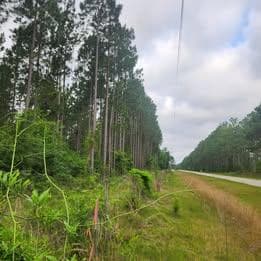 0 Pleasant Grove Church Rd, Albany, GA 31705 - photo 6