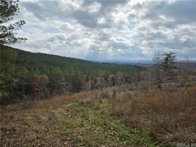 000 Cedar Branch Rd, Hattieville, AR 72063 - photo 7