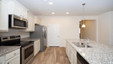 2533 Nadir Ct unit Lot 96 Aria B, Myrtle Beach, SC 29577 - photo 5