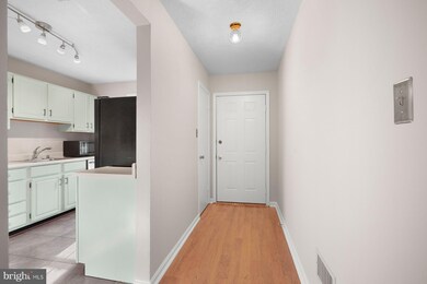 10000 Oakton Terrace Rd unit 10000, Oakton, VA 22124 - photo 4