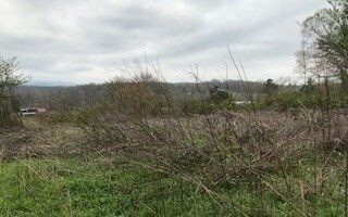 Additional View