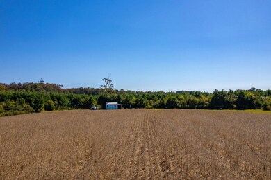 0 Caratoke Hwy unit 127231, Poplar Branch, NC 27965 - photo 6