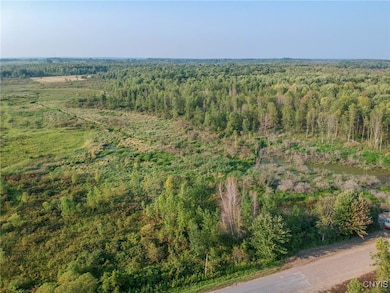 0 Black Creek Rd, Grenell, NY 13624 - photo 7